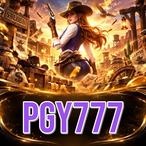 pgy777 Install FAQ